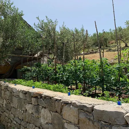 בית נופש House Ivica